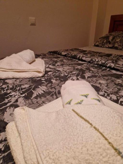 Efchi Center Apartment